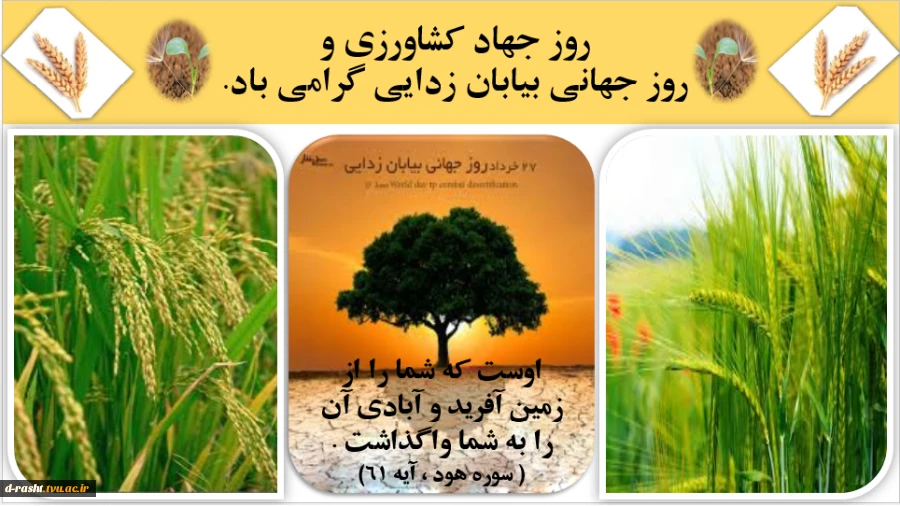 روز جهاد کشاورزی و روز جهانی بیابان زدایی گرامی باد. 2